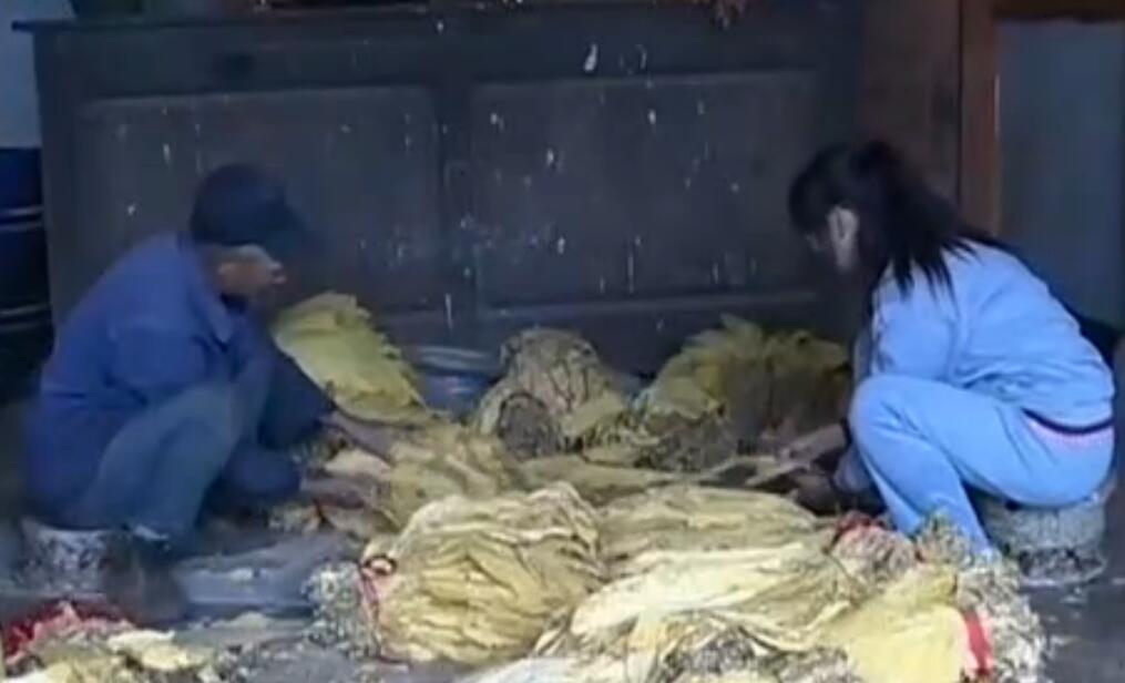 十大孝星评选,十佳孝星获奖经历