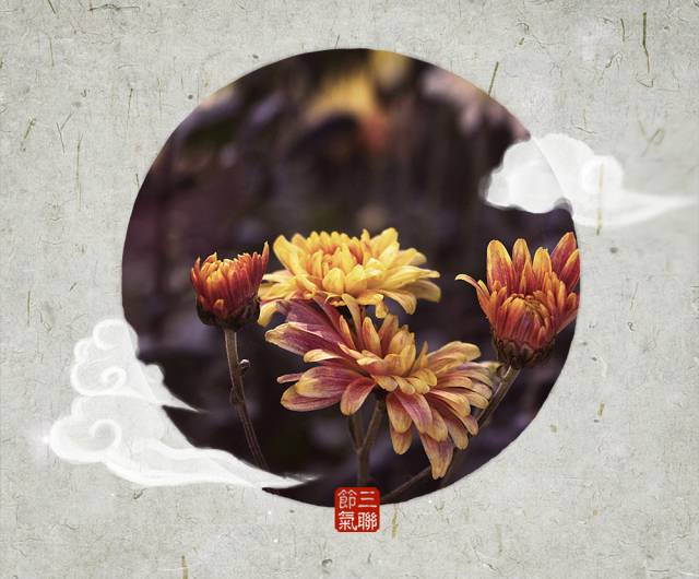 佳节又重阳惟愿幸福安康,重阳佳节幸福久久