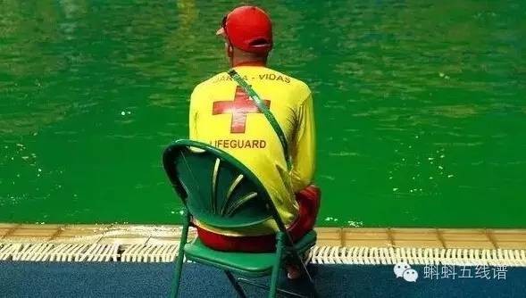 里约奥运会跳水池变绿,奥运泳池突然变色
