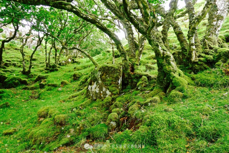 天空岛四个岩柱,天空岛秘境解密