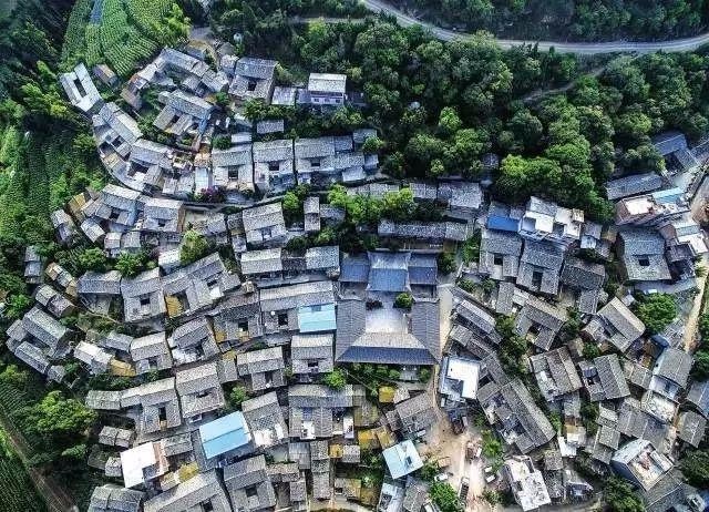 秘境樱花谷勐撒,抚仙湖樱花谷时光栈道