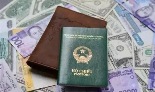 护照的颜色有什么区别,护照正常是什么颜色