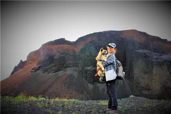 活动回顾|欧帝亿主题狗狗巴士察哈尔草原深处探秘万年火山