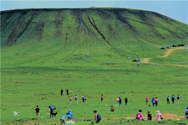 活动回顾|欧帝亿主题狗狗巴士察哈尔草原深处探秘万年火山