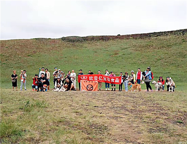 活动回顾|欧帝亿主题狗狗巴士察哈尔草原深处探秘万年火山