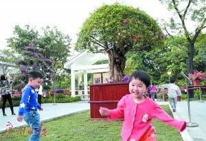 10号发工资和15号发工资的区别,公司10号和20号发工资有什么区别