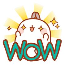 金秋来环翠，不止看全国山地自行车赛，还有最棒的购物体验！