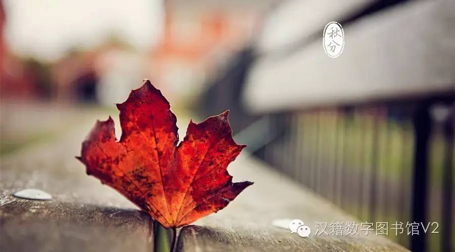 二十四节气国画之秋分,二十四节气秋分小作文