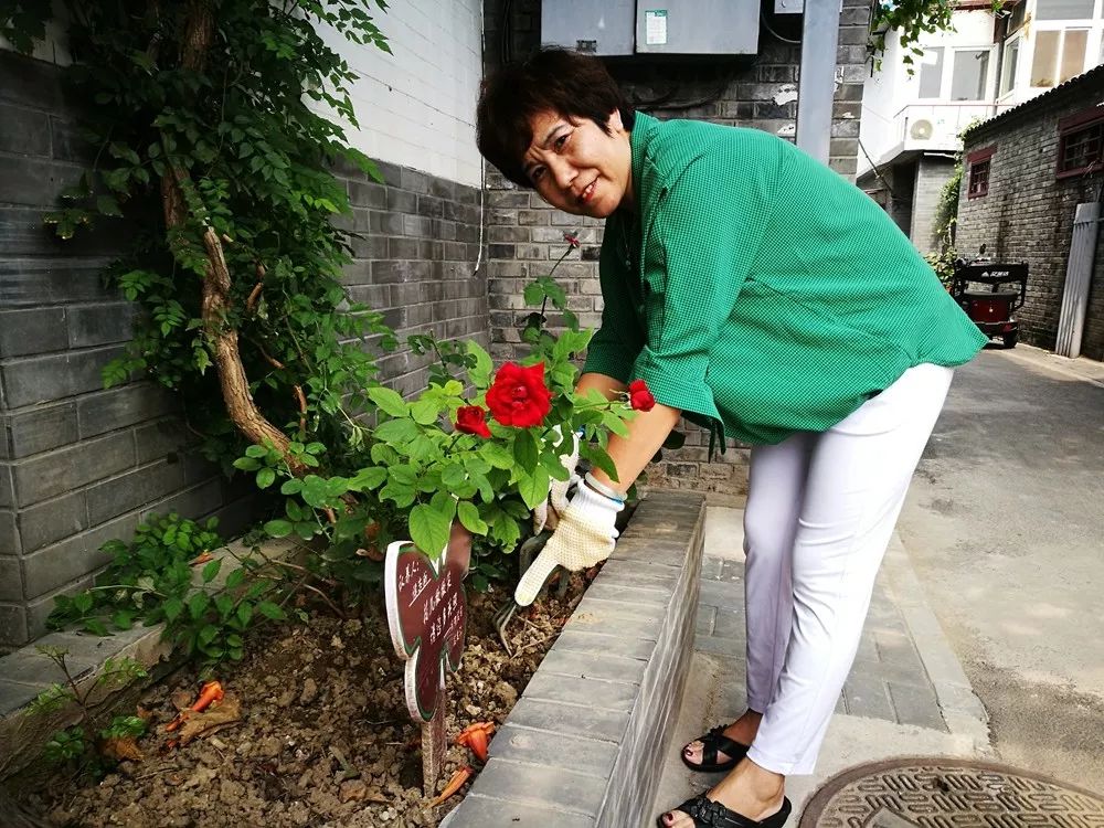 百花深处笛子版,百花深处