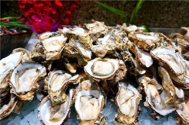 北京哪里自助海鲜便宜又好吃,北京最值得去的海鲜自助