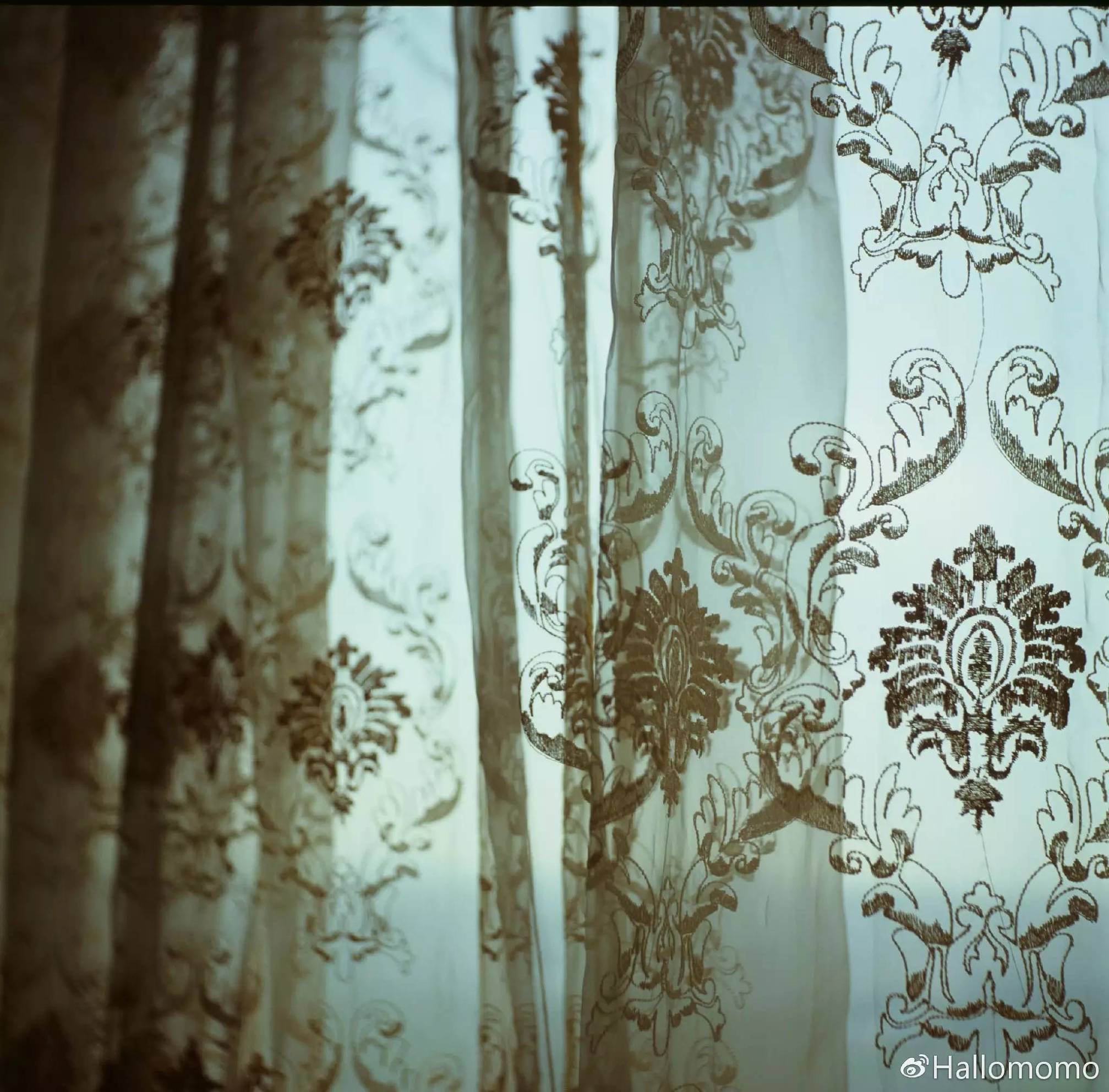 那些年我玩过的胶片机,旁轴胶片机推荐