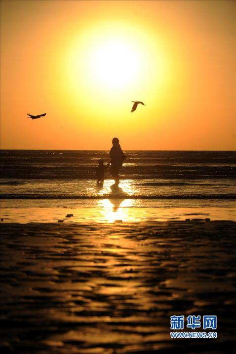 九月九重阳节关爱老人视频,九月九重阳节关爱老人图片
