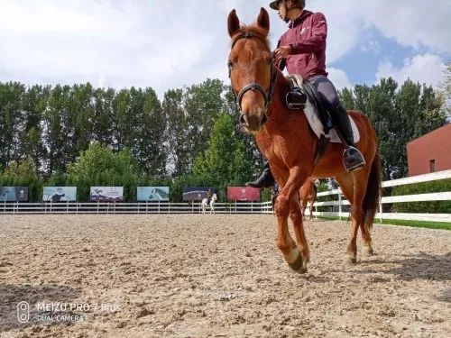 禹唐WEEKLY|诺坎普接近获得4亿欧冠名费!J联赛球衣推出锁骨广告位!