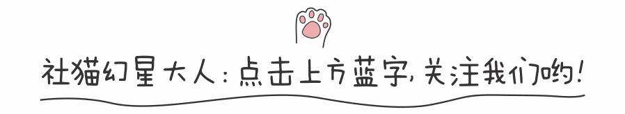 「专访」国内长篇科幻的神秘新作者——杨林