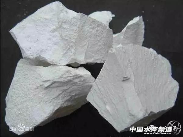 这几个“屌丝”渔药你知多少？生石灰、食盐、二氧化氯，一个比一个好用！