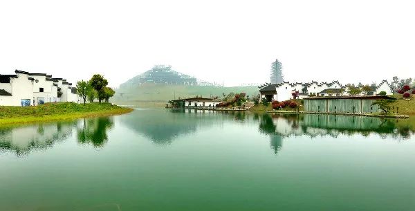 火了!蚌埠最新版使用说明书,竟然有这么多人不知道!