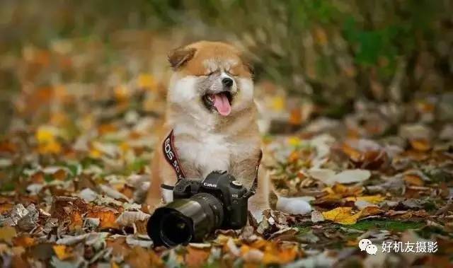 绉嬪ぉ灏嗚鏉ヤ复,绉嬪ぉ鍗冲皢鏉ヤ复