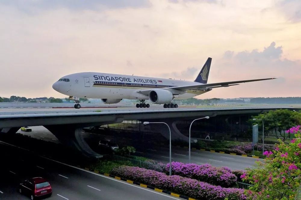 「航空怪胎」的伊甸园:从博物馆到车间,人类古老的梦在此再现