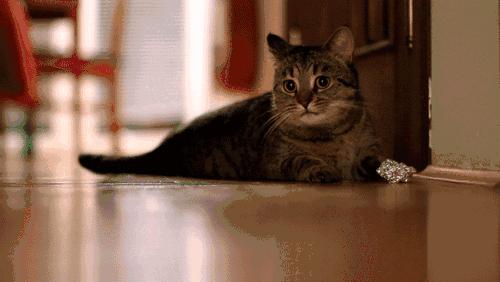 解惑你的疑难杂症,解惑你的所有问题