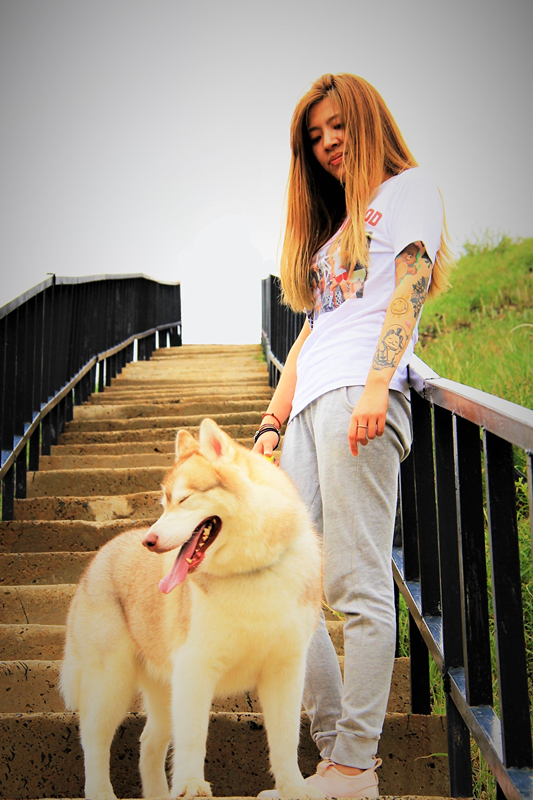 活动回顾|欧帝亿主题狗狗巴士察哈尔草原深处探秘万年火山