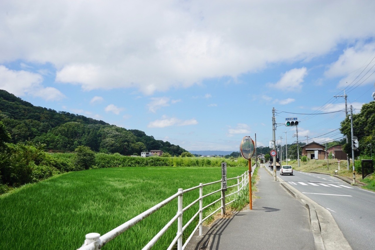 日本8月5日淀川花火大会观赏攻略,2023淀川花火大会个人视角全记录