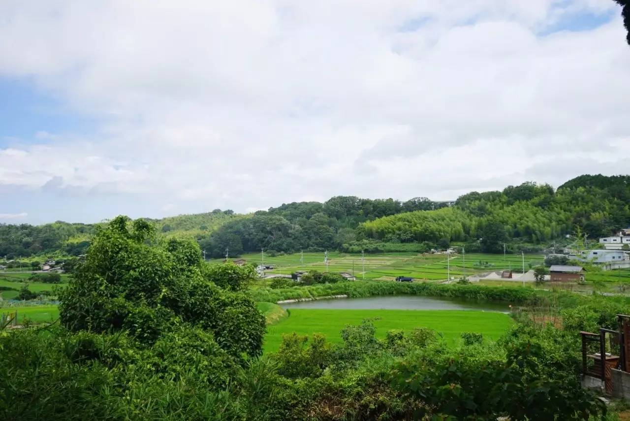 日本8月5日淀川花火大会观赏攻略,2023淀川花火大会个人视角全记录