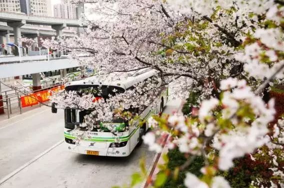 「有人你」小交微信藏着一个出行“百宝箱”，一键解决7种出行难题！