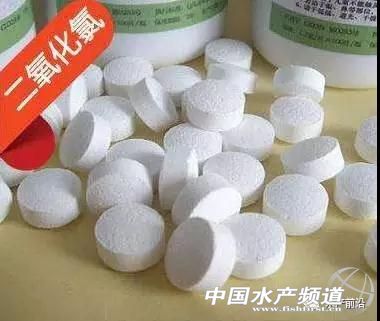这几个“屌丝”渔药你知多少？生石灰、食盐、二氧化氯，一个比一个好用！