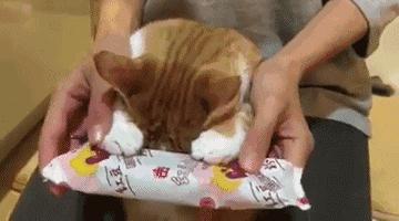 解惑你的疑难杂症,解惑你的所有问题