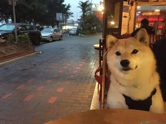 七夕遇上周一怎么想,七夕和周三哪个好