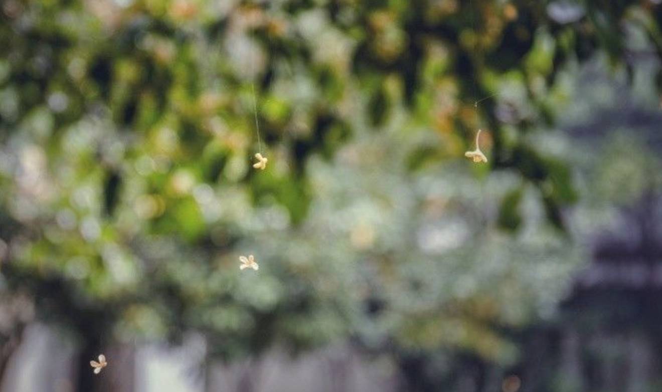 吃了酵素肚子咕咕拉肚子,吃酵素每天都拉肚子