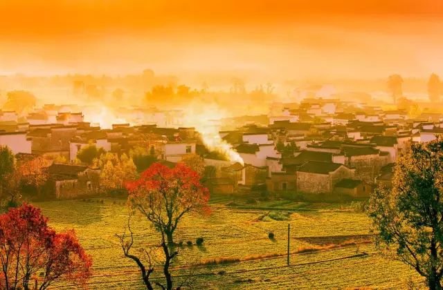 吃了酵素肚子咕咕拉肚子,吃酵素每天都拉肚子