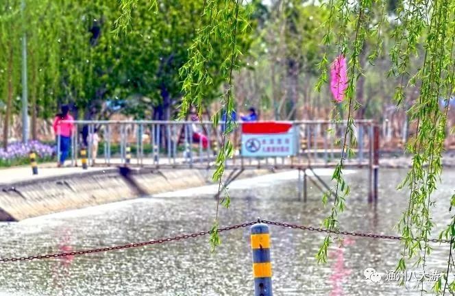 天冷了秋膘可以贴起来了,天冷了囤点膘过冬