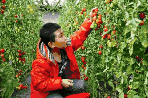又是一年中秋月恰逢团圆好时节,又是一年中秋团圆时