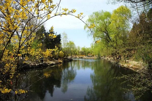 nkt治疗是免疫治疗吗,nkt治疗案例