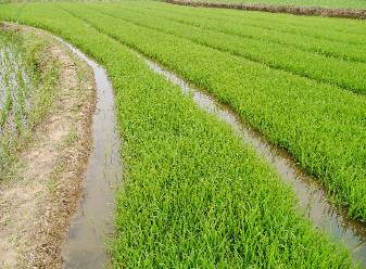 聚焦目标砥砺前行,聚焦责任意识增强责任担当