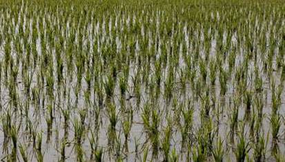 聚焦目标砥砺前行,聚焦责任意识增强责任担当