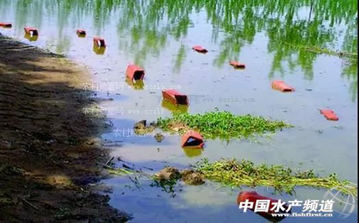 养殖小龙虾的人多了怎么赚钱,2022年以后养小龙虾还赚得到钱吗