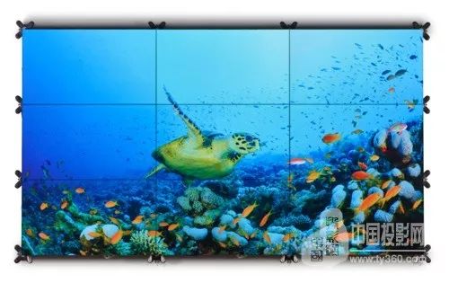 「高端访谈」集结最强“战力”,打造巴可中国“企业生态圈”