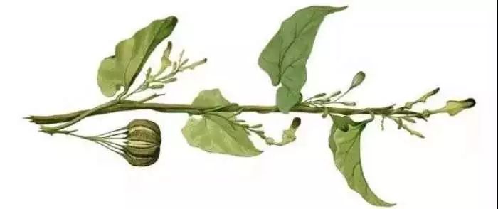 10号发工资和15号发工资的区别,公司10号和20号发工资有什么区别