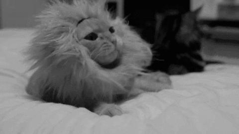 解惑你的疑难杂症,解惑你的所有问题