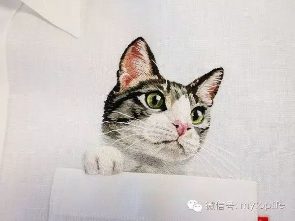 潮流趋势：日本艺术家将猫放在口袋里带出门
