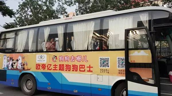 活动回顾|欧帝亿主题狗狗巴士察哈尔草原深处探秘万年火山