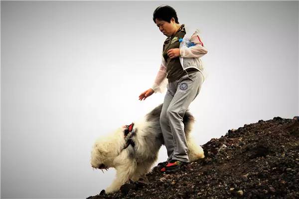 活动回顾|欧帝亿主题狗狗巴士察哈尔草原深处探秘万年火山