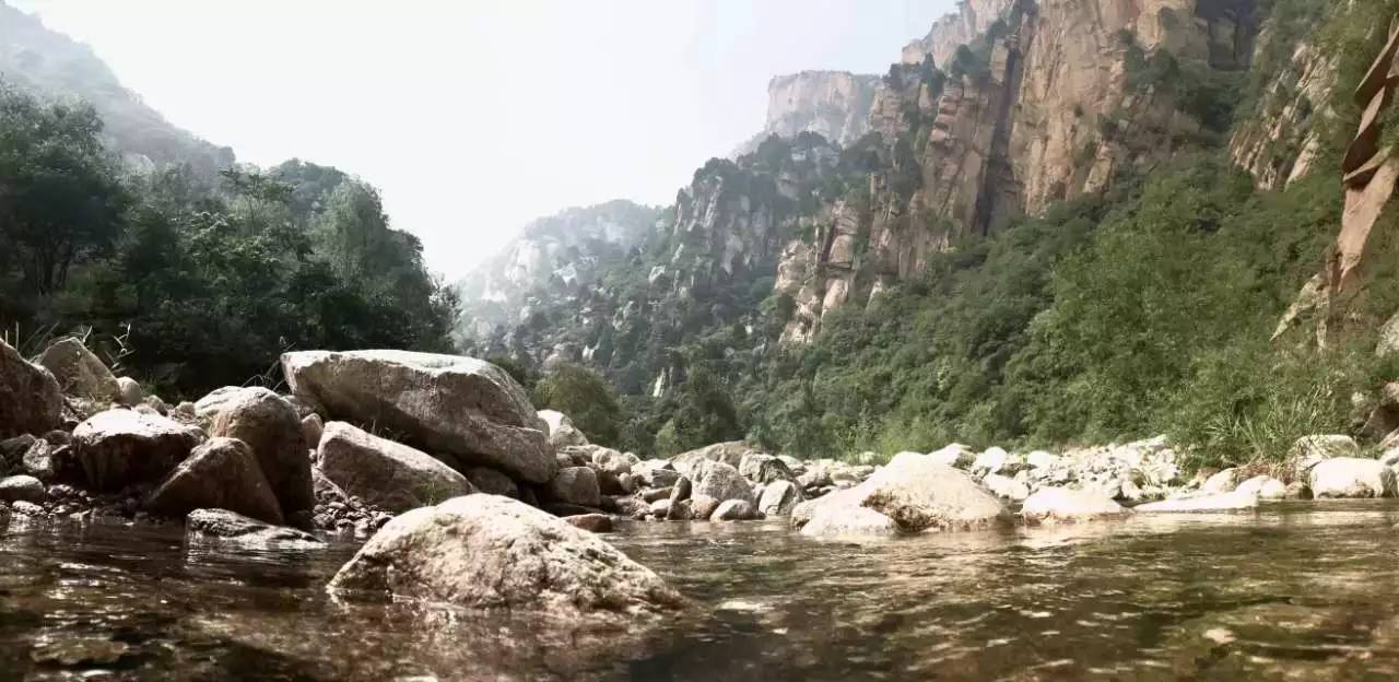 活动回顾｜随欧帝亿遛狗圣地撒花跑，铁锅灶台鱼可劲儿造回顾