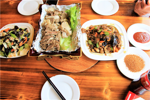 活动回顾|欧帝亿主题狗狗巴士察哈尔草原深处探秘万年火山