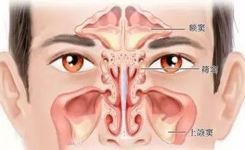 小小年纪竟然得了鼻炎,小小年纪鼻炎