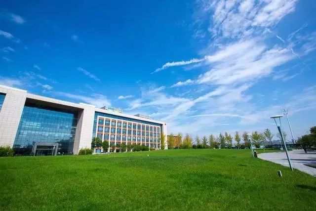 创意与创新｜没想到在对待女程序员的问题上你是这样的ThoughtWorks