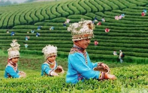 贵州特产一般都有哪些,贵州贵阳青岩古镇有什么特产