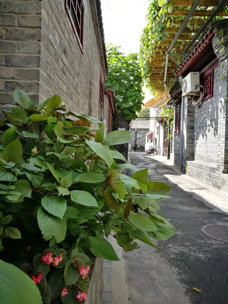 百花深处笛子版,百花深处